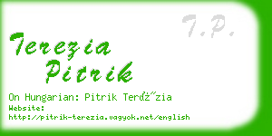 terezia pitrik business card